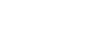 Ironology | The Ironing Company